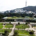 The Secrets of Golden Gate Park: A San Francisco Chronicle Self-Guided Tour - What Reviewers Have Said