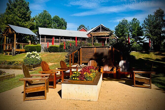 Three Vineyards Half Day Private Wine Tour From Asheville - The Itinerary Breakdown: What You Can Expect