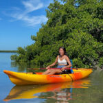 Tierra Verde: Shell Key Mangrove Private Guided 1.5 hr Tour - An In-Depth Look at the Tour Experience