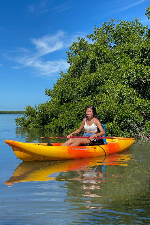 Tierra Verde: Shell Key Mangrove Private Guided 1.5 hr Tour - An In-Depth Look at the Tour Experience