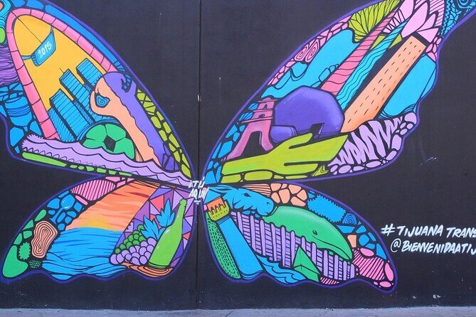 Tijuana Urban Art Walk from San Diego - Who Should Book This Tour?