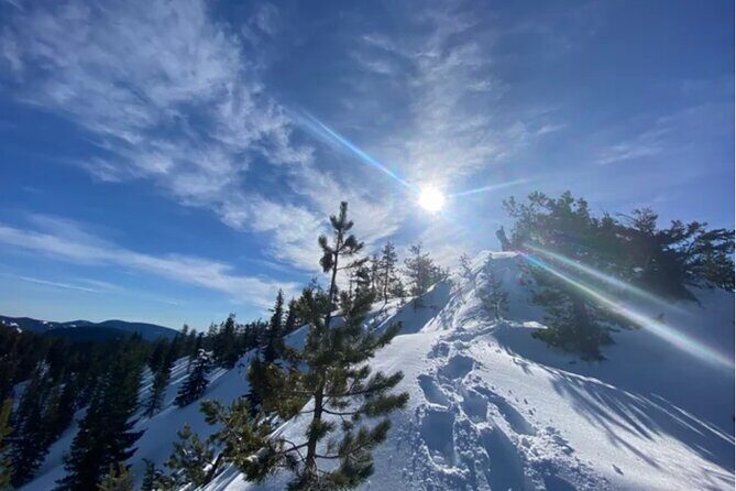 Tom Dick and Harry Snowshoe Hike - The Scenic Highlights