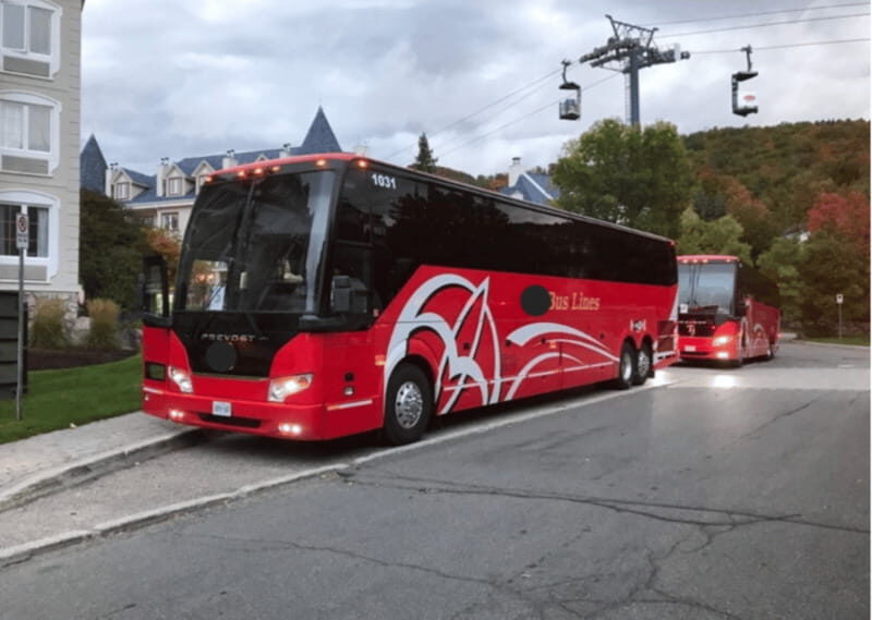 Toronto and Niagara Falls: Full-Day City and Nature Tour - Analyzing the Value