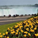 Toronto: Small-Group Niagara Falls Day Trip - The Real Value of This Tour