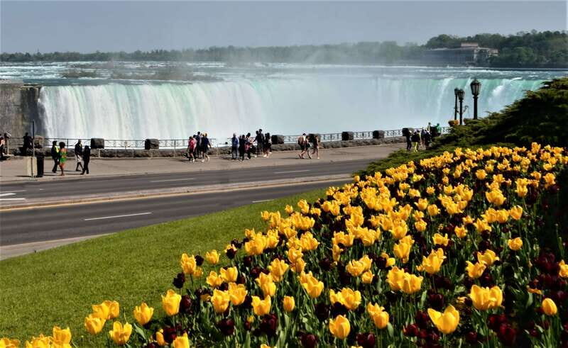Toronto: Small-Group Niagara Falls Day Trip - The Real Value of This Tour