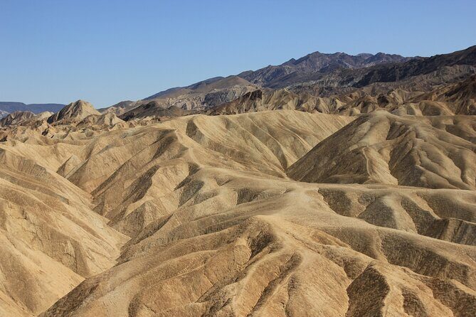 Tour with French Guide of Death Valley - Practicalities and Value