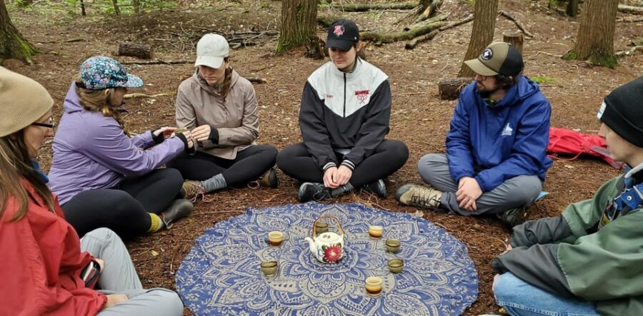 Transformative Forest Escape: Rebalance, Connect, Renew - Who Would Love This Tour?