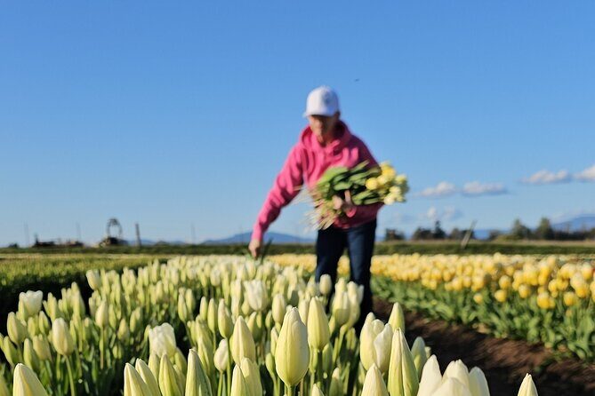 Tulip Valley Farms U Pick Experience - Who Will Love This Experience?