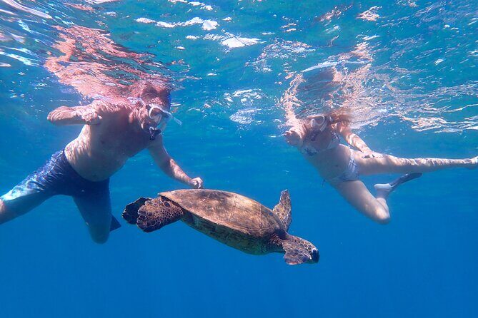 Turtle Town Beach Snorkel - Who Should Consider This Tour?