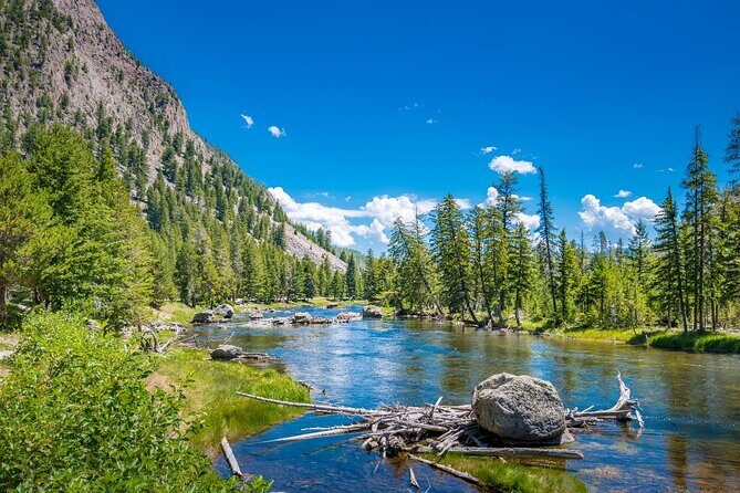 Ultimate Audio Tours: Yellowstone, Glacier, Grand Teton & Banff - Who Should Book This Tour?