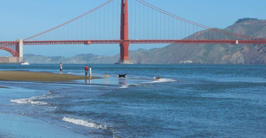 Ultimate Golden Gate Bridge & SF Bay Explorer Tour - An In-Depth Look at the Tour Experience
