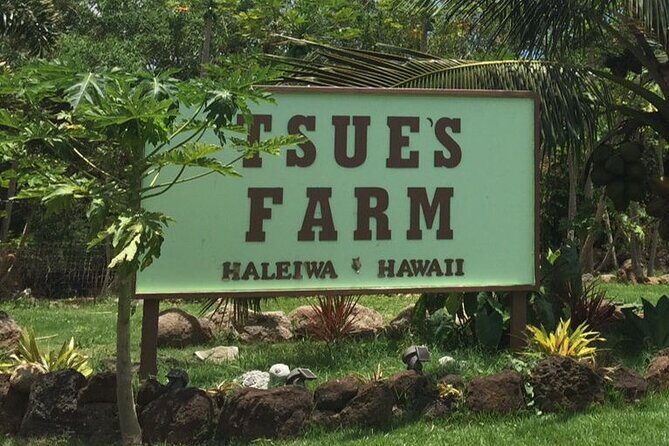 Ultimate North Shore Adventure: Full-Day Hawaiian Experience - How the Day Comes Together