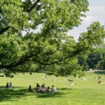Upper Central Park Running Tour - Final Thoughts: Is the Upper Central Park Running Tour Worth It?