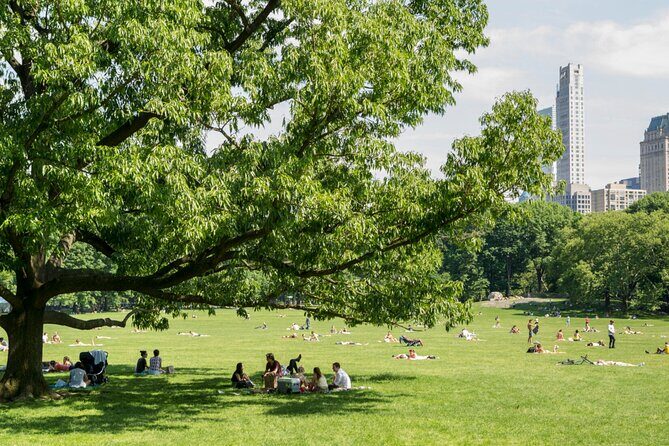Upper Central Park Running Tour - Final Thoughts: Is the Upper Central Park Running Tour Worth It?