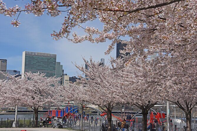 Uptown to Midtown Roosevelt island tour - Practical Details & Logistics