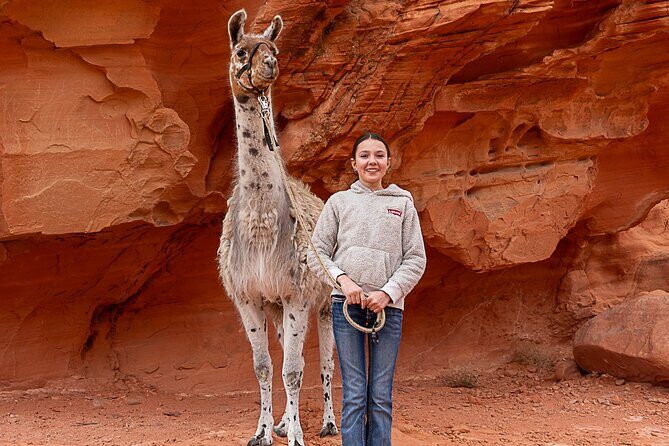 Valley of Fire Llama Hikes - Is It Worth It? Assessing the Value