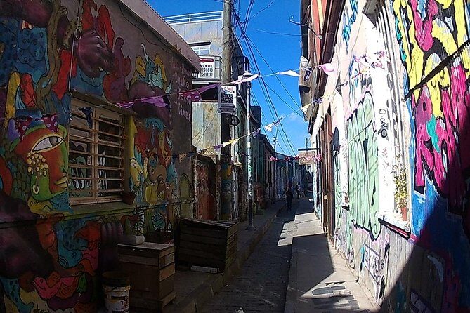 Valparaiso & Viña Del Mar, Museum & Lunch FROM STGO. Private Tour - Who Should Book This Tour?