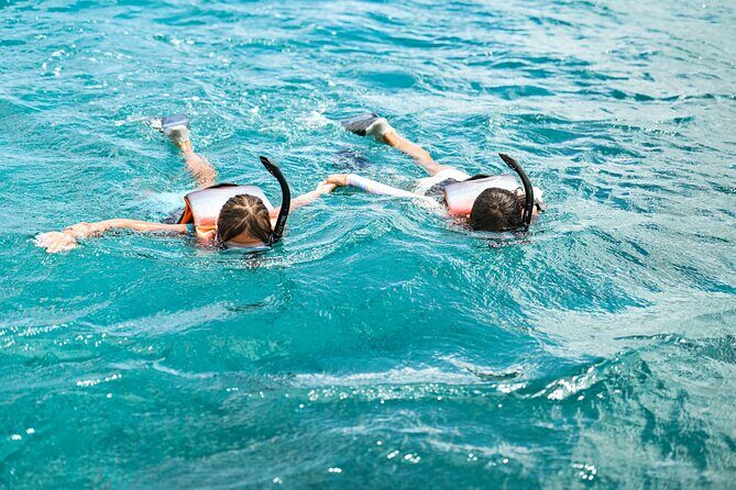 Venture Wildlife Snorkel Charter from Ko Olina - Final Thoughts