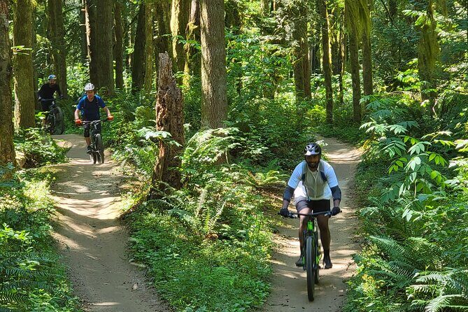 Viator Exclusive - Half Day Mountain Bike Tour from Seattle - Why This Tour Is a Great Choice