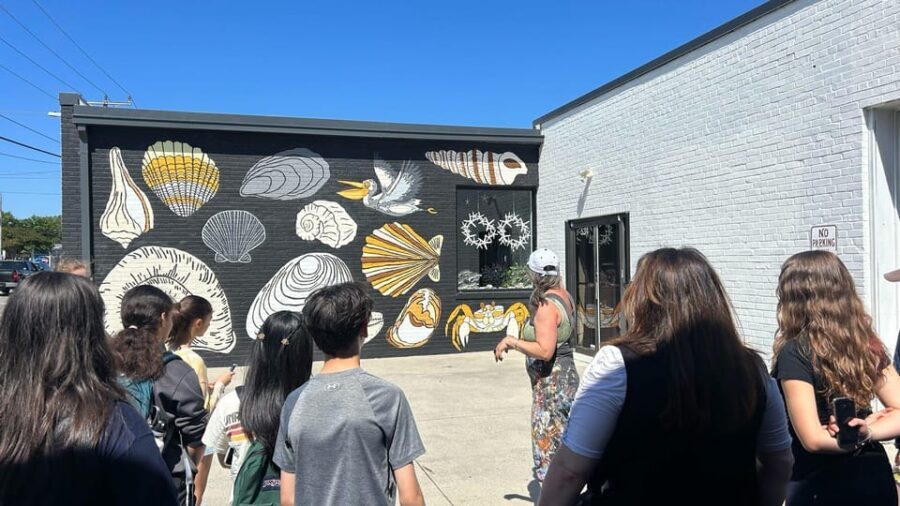 Virginia Beach: ViBe District Guided Walking Mural Tour - Why Choose This Tour?
