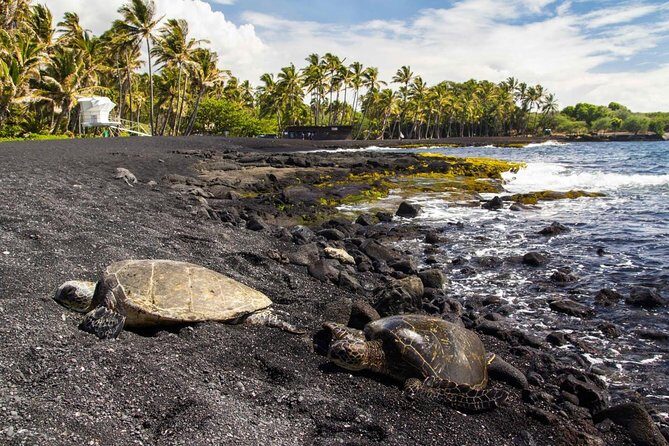 Volcano Tour from Kona - Black Sand Beach & the Bakery: A Taste of Local Life