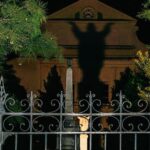 Voodoo Vibes: Best of New Orleans Tour - Why This Tour Works Well