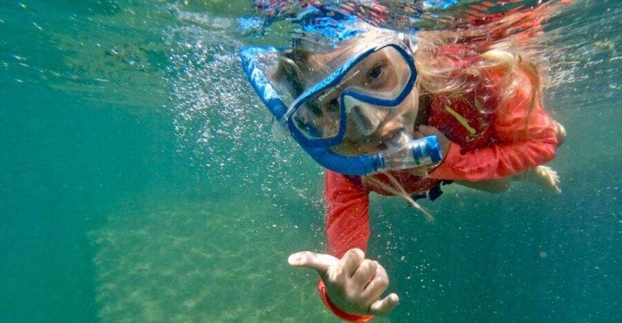 Waikiki: Honolulu Beginner Snorkeling Tour with Videos - The Snorkeling Experience