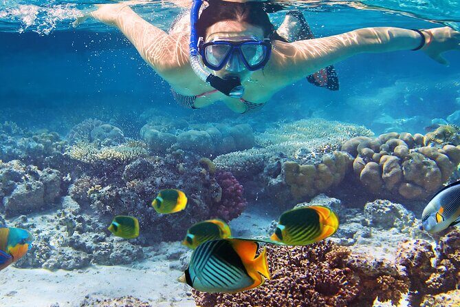Waikiki Sail and Snorkel Adventure Best of Hawaii - Authentic Insights from Reviewers