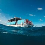 Waikiki: Snorkel Tour with Hawaiian Green Sea Turtles - What to Expect from the Waikiki Snorkel Tour