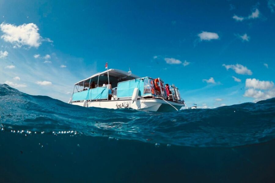 Waikiki: Snorkel Tour with Hawaiian Green Sea Turtles - What to Expect from the Waikiki Snorkel Tour