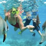 Waikiki Turtle Snorkel Adventure - Who Is This Tour Perfect For?