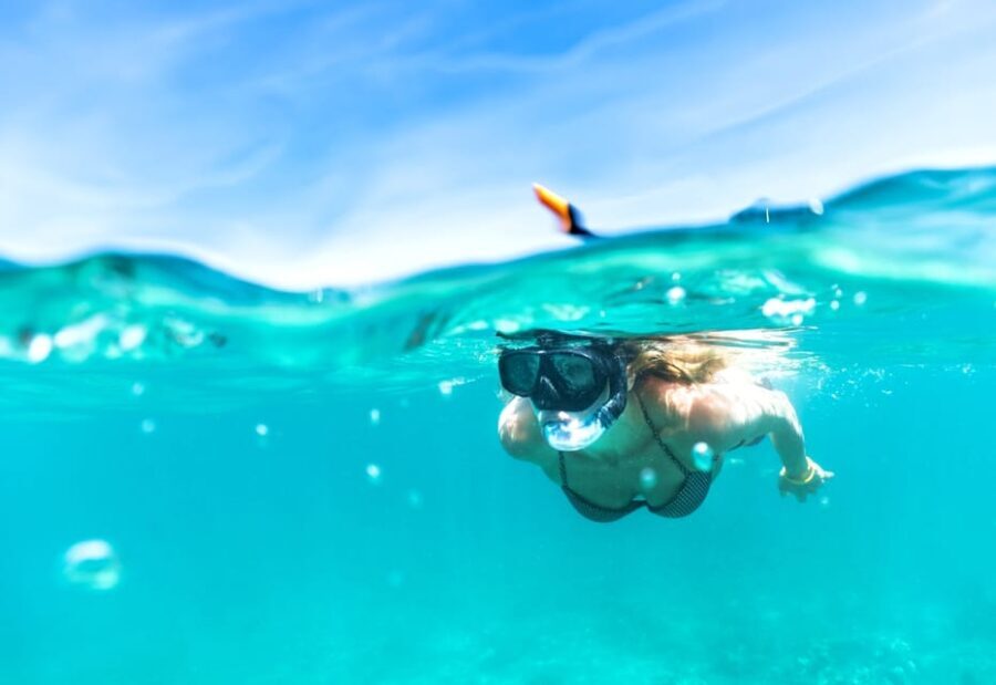 Waikiki: Turtle Snorkeling Cruise with 20ft Jumping Platform - Practical Details and Considerations