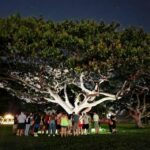 Waikiki: Waikiki Night Marchers Ghostly Walking Tour - Who Should Consider This Tour?