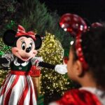 Walt Disney World Special Event Tickets - FAQ