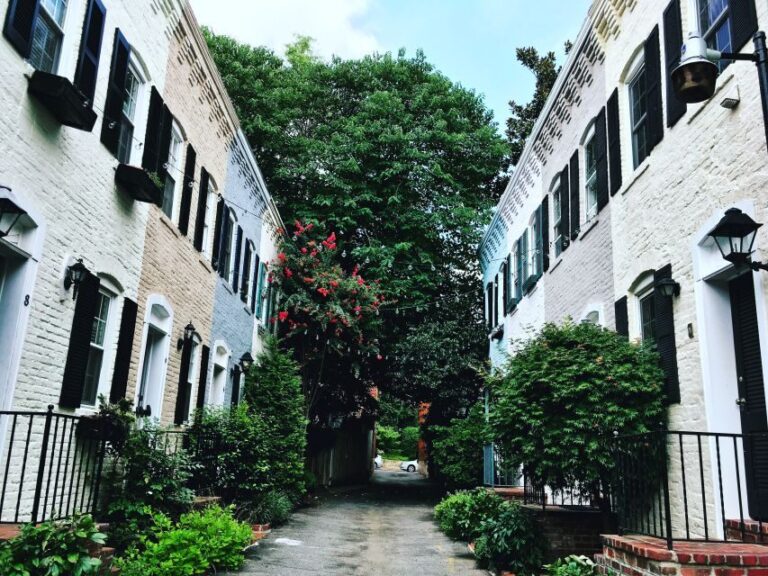 Washington, DC: Georgetown Architecture Walking Tour - Who Will Love This Tour?
