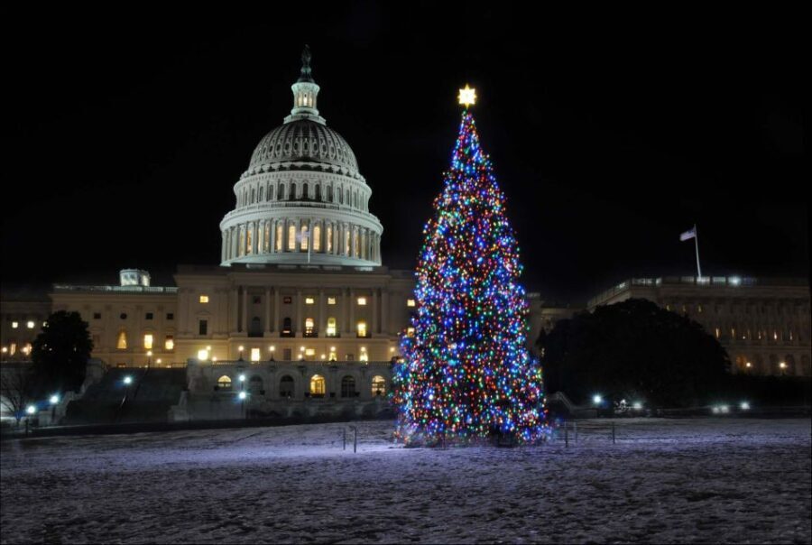 Washington, DC: Holiday Lights Nighttime Bus Tour - What to Expect During the Tour