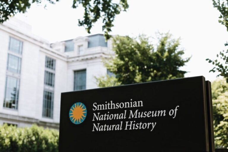 Washington DC: National Museum of Natural History Tour - Why This Tour Offers Great Value
