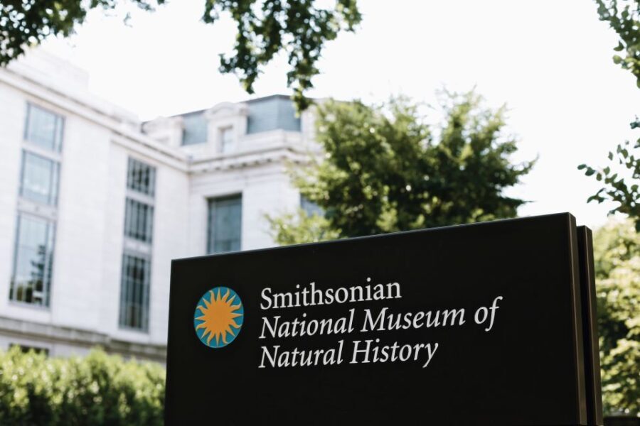 Washington DC: National Museum of Natural History Tour - Why This Tour Offers Great Value