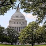 Washington DC: Nighttime Express Sightseeing Tour - Value and Cost Analysis