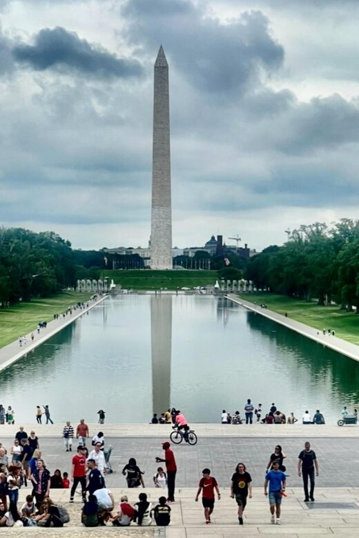 Washington DC: Private Half-Day Sightseeing Tour - Why This Tour Offers Great Value