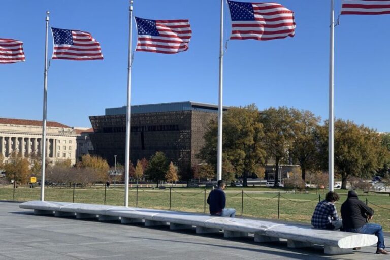 Washington DC: Walking Tour and African American Museum - The Guided Walking Tour: Insights and Personalities