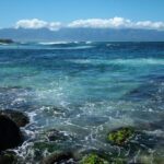 Waterfall and Rainforest Adventure - Final Thoughts