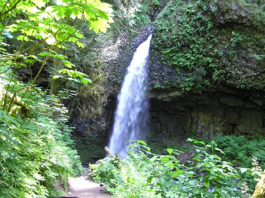 Waterfall Express -PDX: Waterfall Trolley Tickets + Transfer - Cost, Value, and Practical Considerations