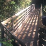 Waterfall Wonderland Hike with Transport - Who Will Love This Tour?