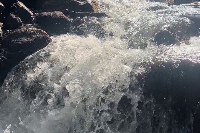 Waterfalls Adventure, A Hidden Gem In Nature - Authentic Insights from Participants