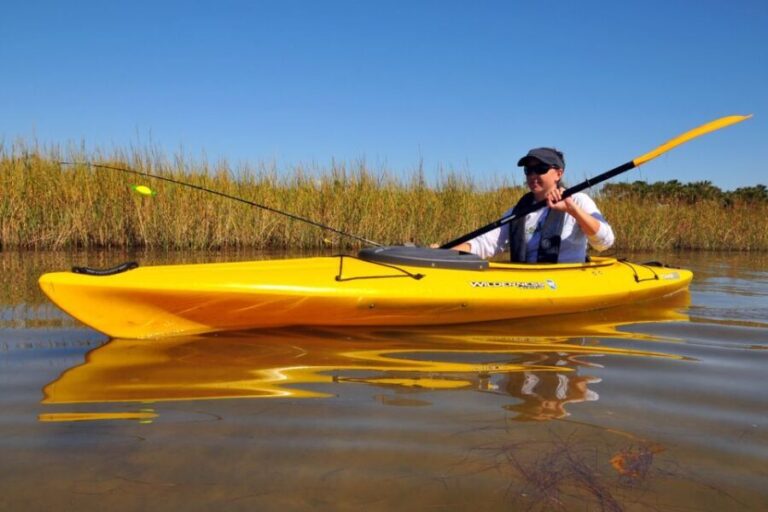 Wekiva River Kayak Full-Day Trip - Why This Tour Is a Winner