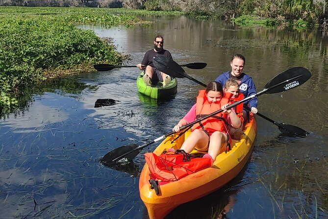 Wekiva Wildlife Kayaking Adventure Tour - Exploring the Wekiva River: An In-Depth Look