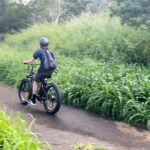 West Maui eBike Island Explorer Full-Day Rental - Real Experiences & Practical Insights