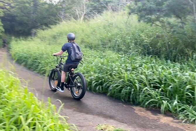 West Maui eBike Island Explorer Full-Day Rental - Real Experiences & Practical Insights