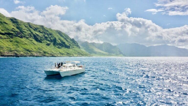 West O'ahu: Swim with Dolphins Catamaran Cruise - The Real Value of This Tour
